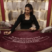 Blackjack VIP 15 game art